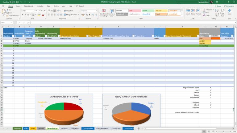 Comprehensive Project Management Raid Log Tracker