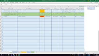 Basic Project Management RAID Log Tracker